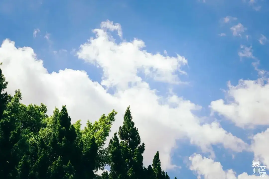 大空明_空明大叔_偶像活动大空明图片