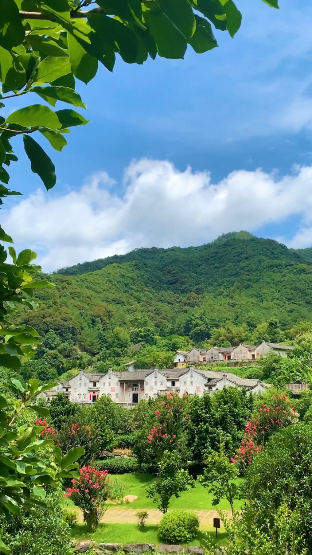 夜见月什么意思_见月草和见月草vb_月见夜