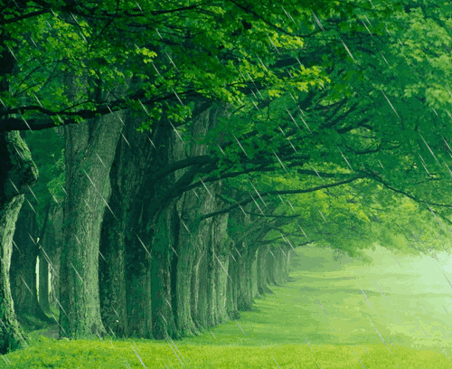 夜见月什么意思_月见夜_见月草和见月草vb