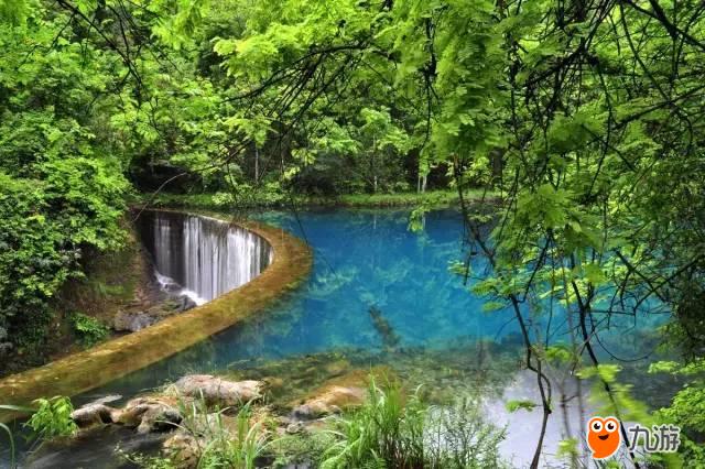 夜见月什么意思_月见夜_见月草和见月草vb