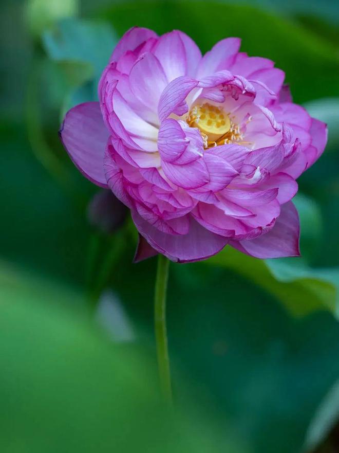 节气节日_节日月份_5月节日节气