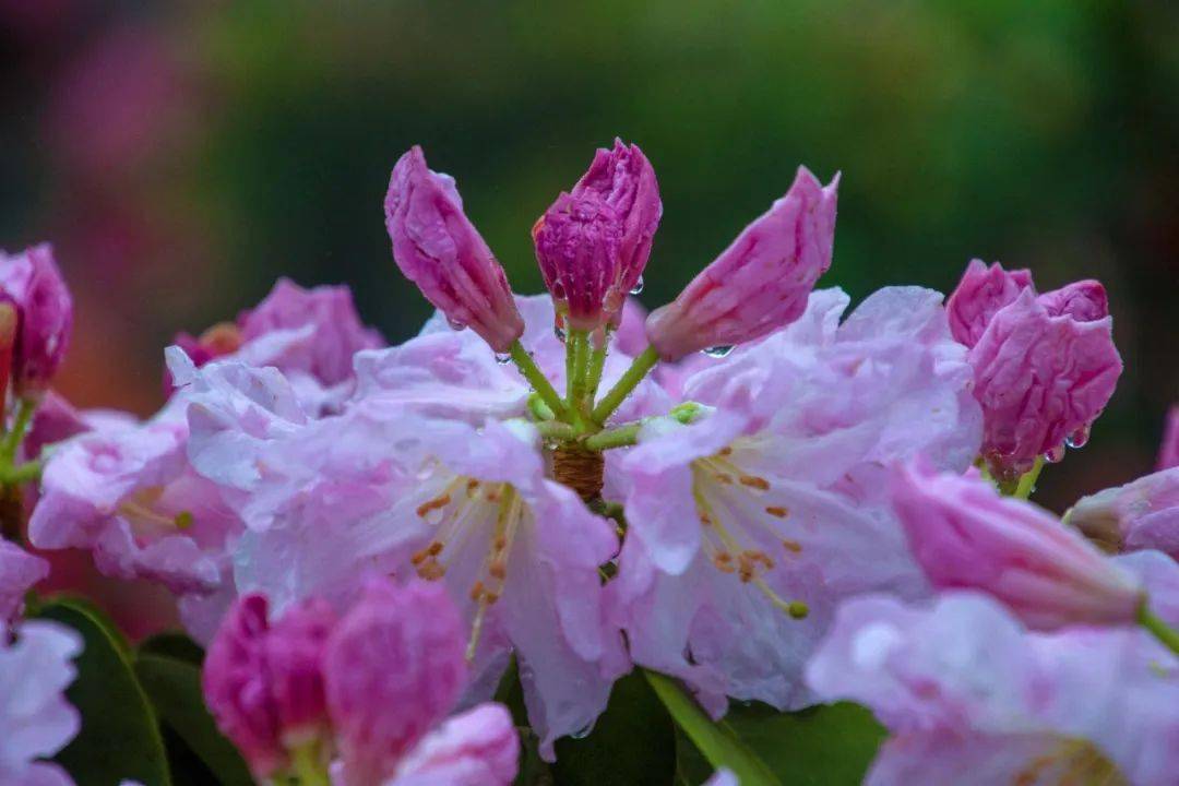 节日月份_5月节日节气_节气节日