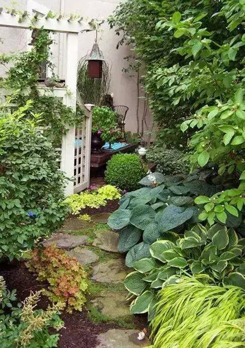 麦箭_麦箭是什么_麦箭图片