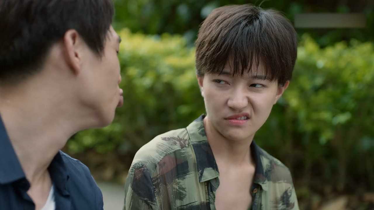 麦箭图片_麦箭_麦箭是什么