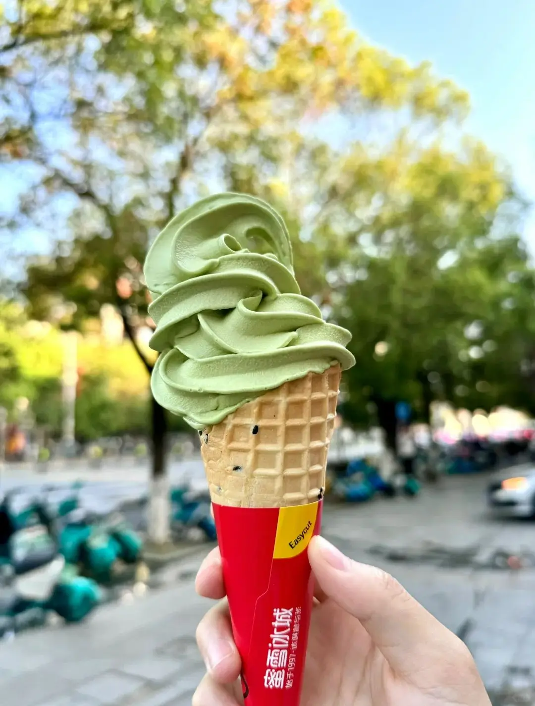 麦箭_麦箭图片_麦箭是什么