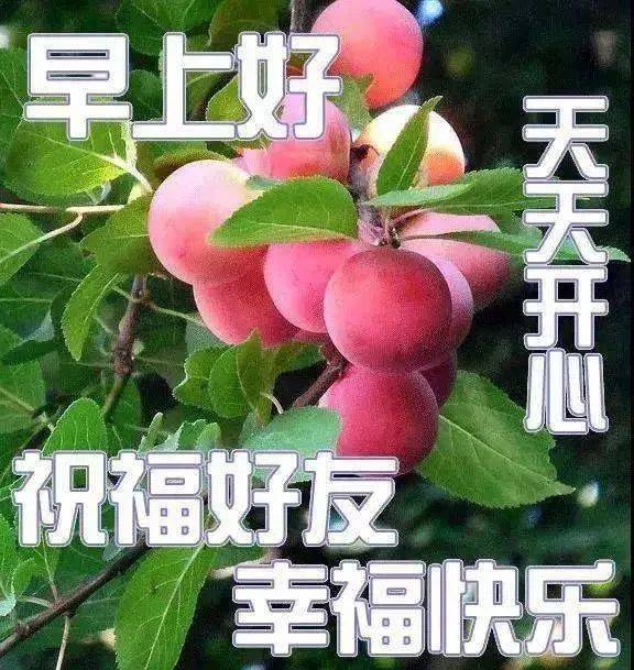 完美秘书情人下载_完美同居情人_我的完美情人手机游戏