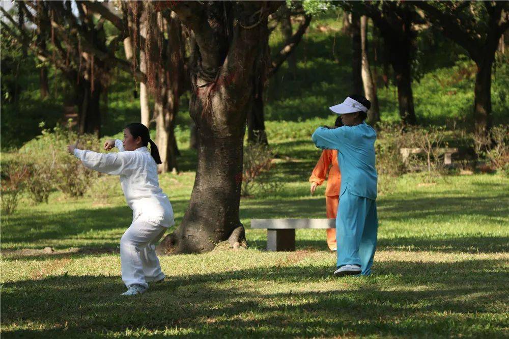 动画锻炼ex_动画锻炼动漫全集免费观看_动画锻炼在同一屋檐下