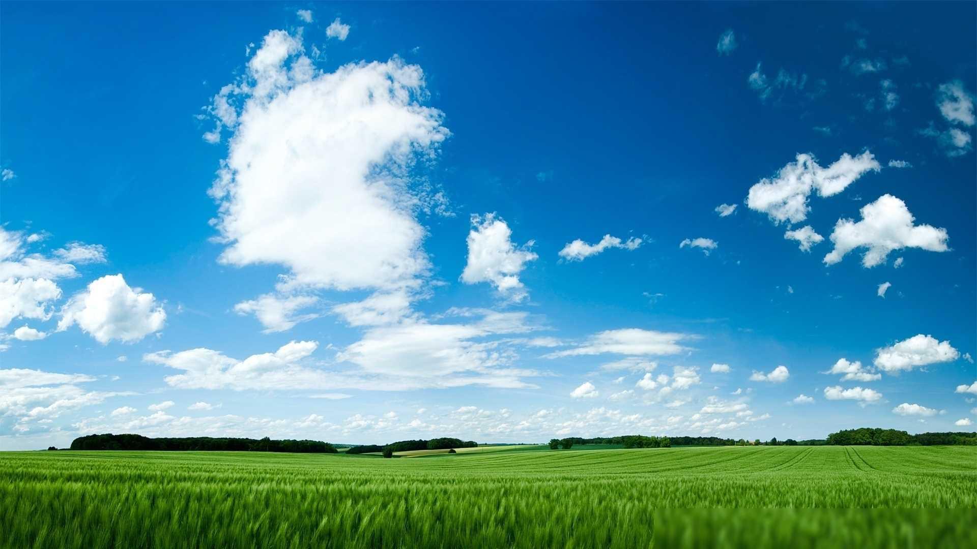 微博网页网站_微博网页入口_微博入口网页版