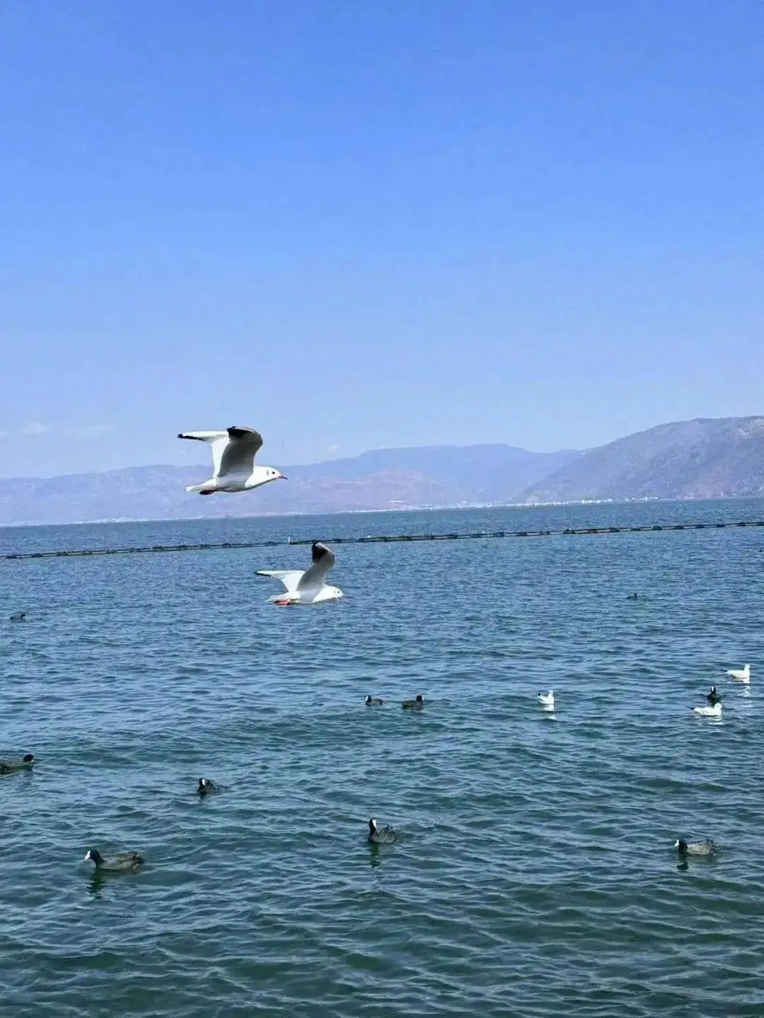 山之件_山海师山动漫_海搬山和山搬山