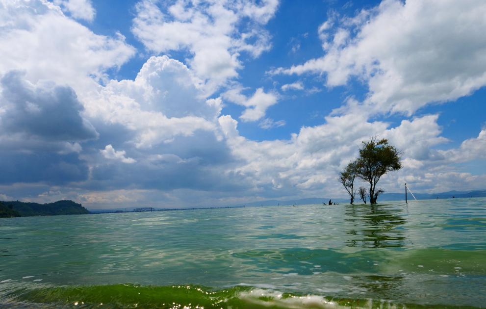 海搬山和山搬山_山之件_山海师山动漫