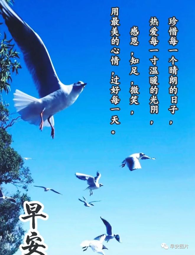 梶裕贵_梶裕贵_梶裕贵