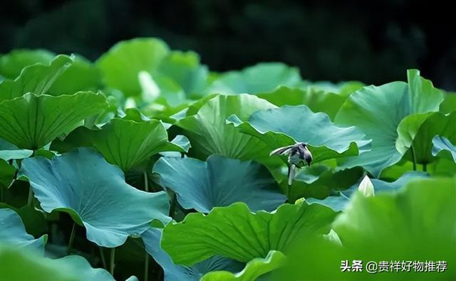 2021年子月是哪个月_2022年的年月表_2022年4月30日是什么日子