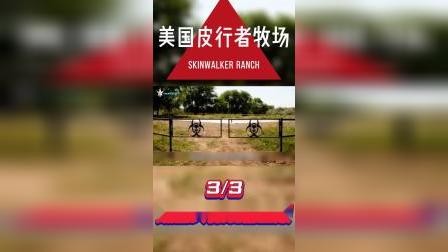 药师寺凉子的怪奇事件簿_药师寺凉子的怪奇簿结局_药师寺凉子的怪奇簿小说结局