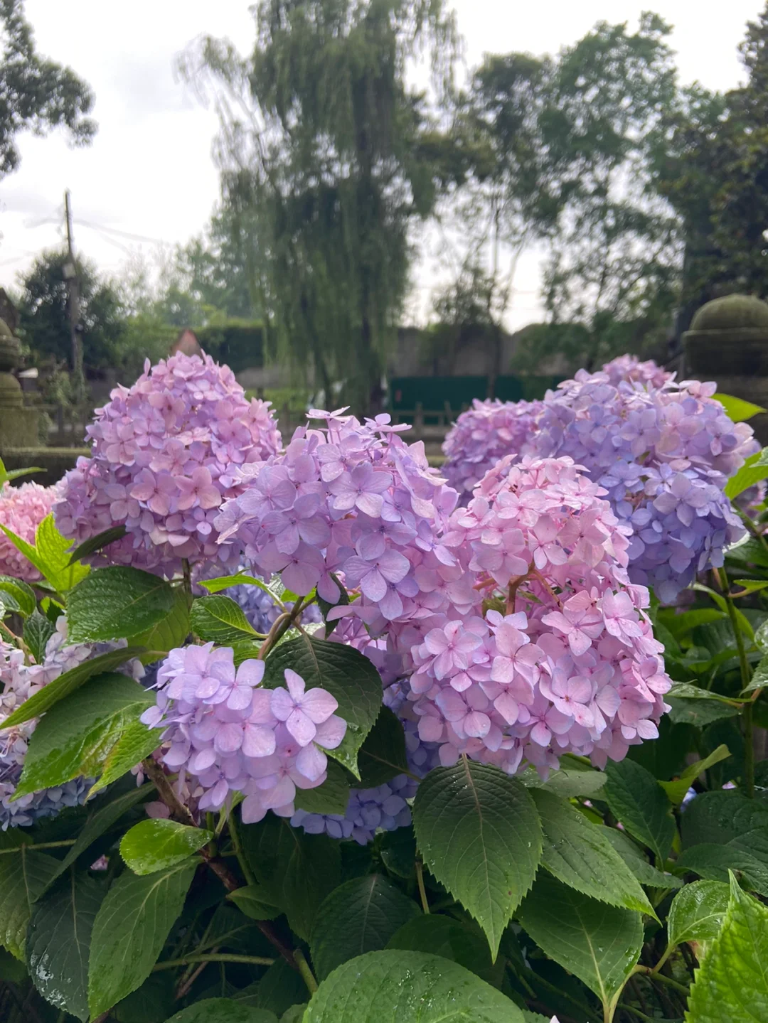 小时候手机里有冰的游戏_小时候手机里有冰的游戏_小时候手机里有冰的游戏