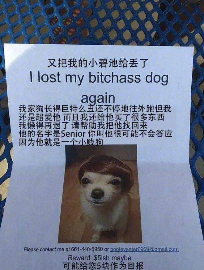 傻瓜猫_傻瓜猫_傻瓜猫