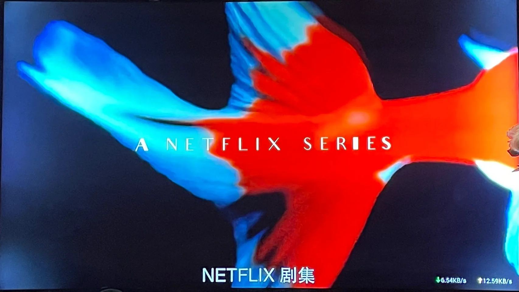 暴风影音官网客户端_暴风音影官网_暴风影音官网