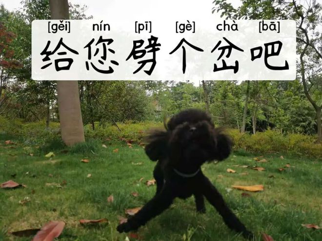 企鹅表情包QQ_qq企鹅表情包_企鹅表情包企鹅叫什么