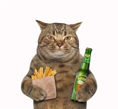 卡影响手机游戏会掉帧吗_游戏会导致手机变卡吗_游戏卡会影响手机吗