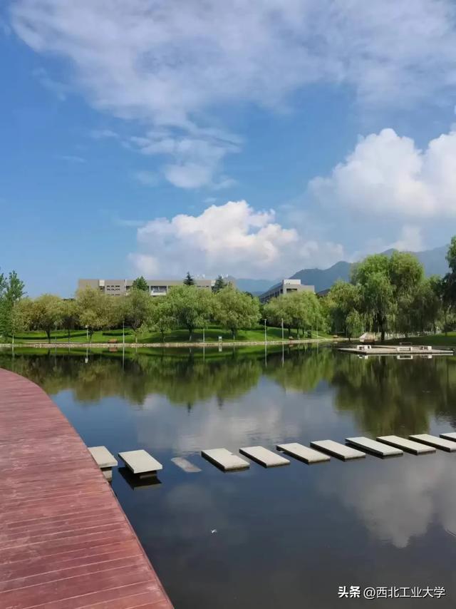 正一道_正一派_正一