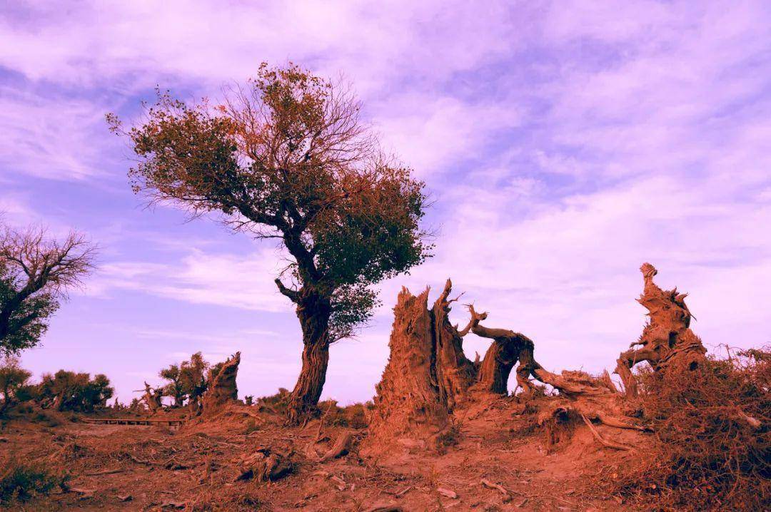 大海原考核答案_大海原与大海原萌娘百科_大海原与大海原