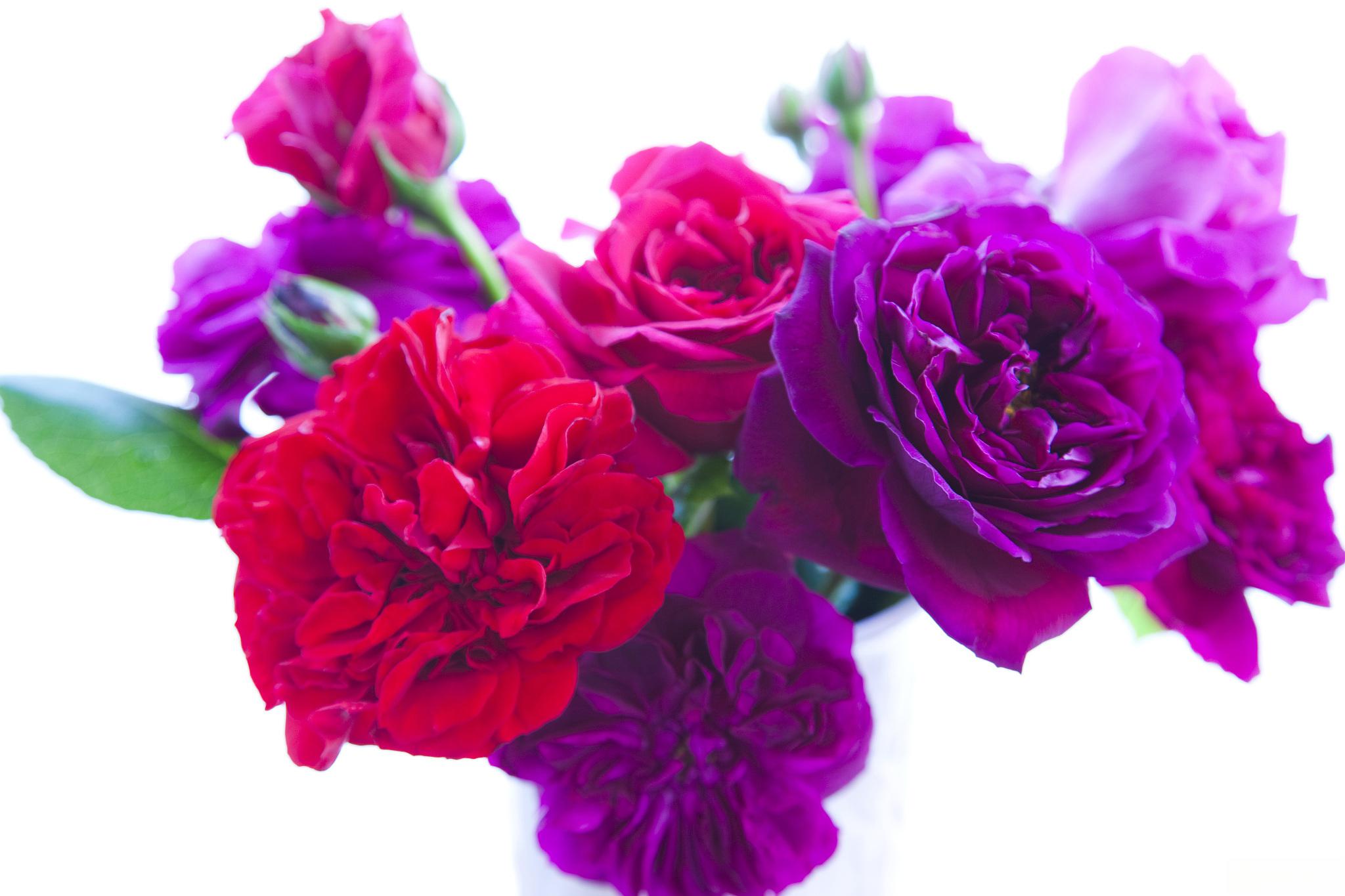 大海原与大海原_大海原考核答案_大海原与大海原萌娘百科