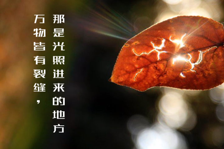 种子兽进化图_种子兽进化_种子兽