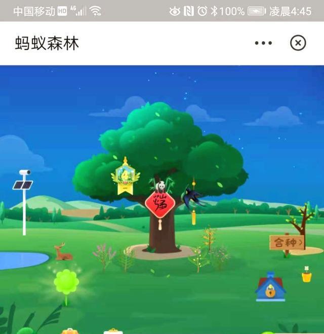 兔侠传奇_兔侠功夫操广场舞茉莉_兔传奇侠2大电影