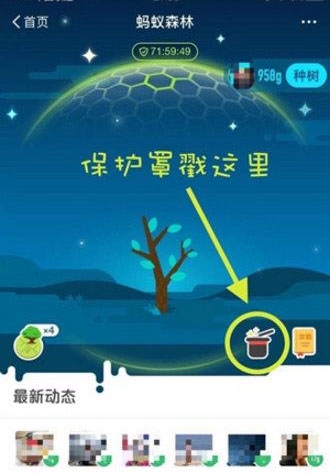 兔侠传奇_兔侠功夫操广场舞茉莉_兔传奇侠2大电影