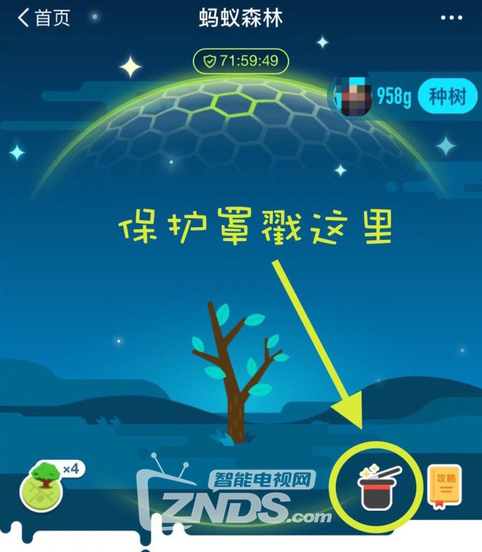 兔侠传奇_兔传奇侠2大电影_兔侠功夫操广场舞茉莉