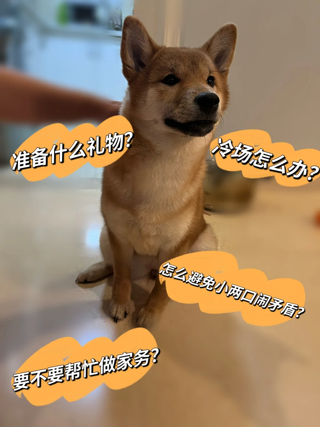 元旦过了就算新的属相吗_元旦怎么过_元旦过生日