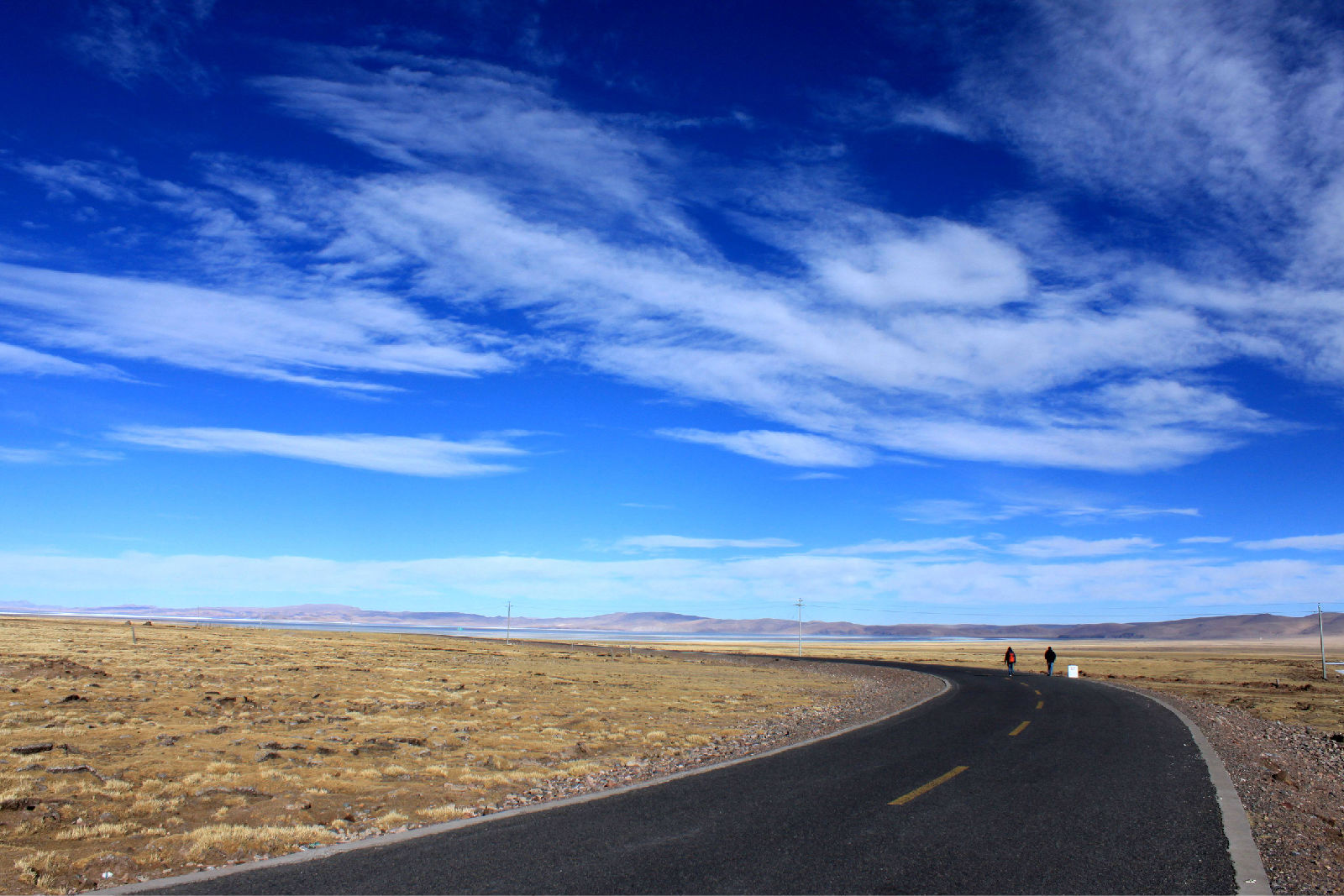 桑游_桑游和白茉晴在一起了吗_桑游和白茉晴结局