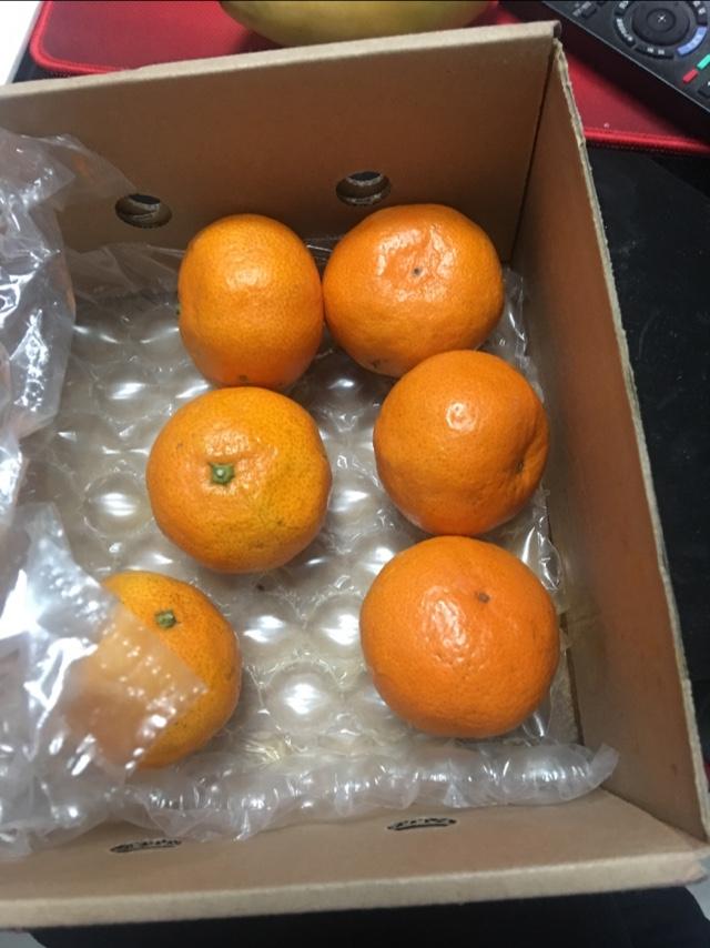 小米手机停用游戏加速不了_小米停用加速手机游戏还能玩吗_小米停用加速手机游戏怎么关闭