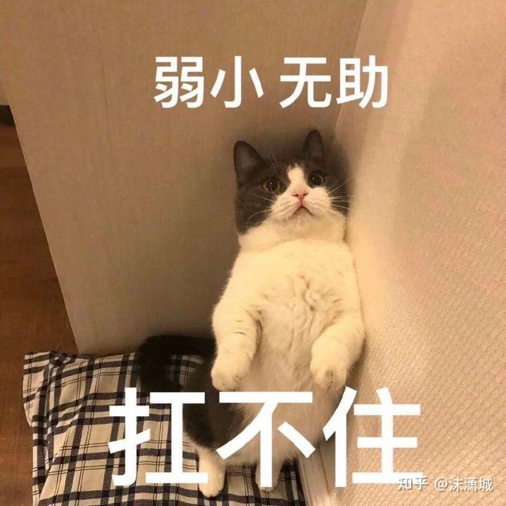 解决手机玩游戏卡顿的软件_一排手机打游戏卡顿_手机玩大型游戏卡顿