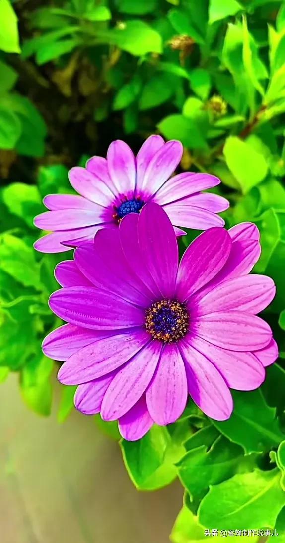 珠海推荐手机游戏店_珠海手机游戏推荐_珠海手游吧