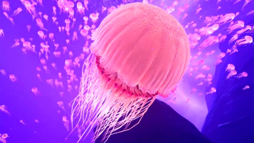 珠海手游吧_珠海推荐手机游戏店_珠海手机游戏推荐