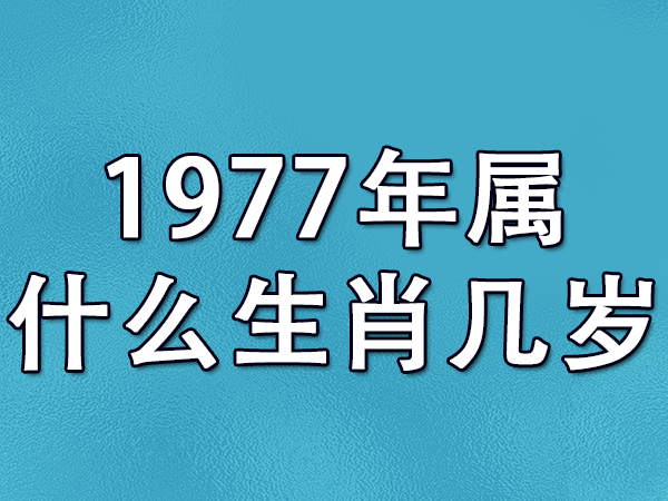 2013是什么生肖年_生肖是年份还是时辰_生肖是年号或是出生时间