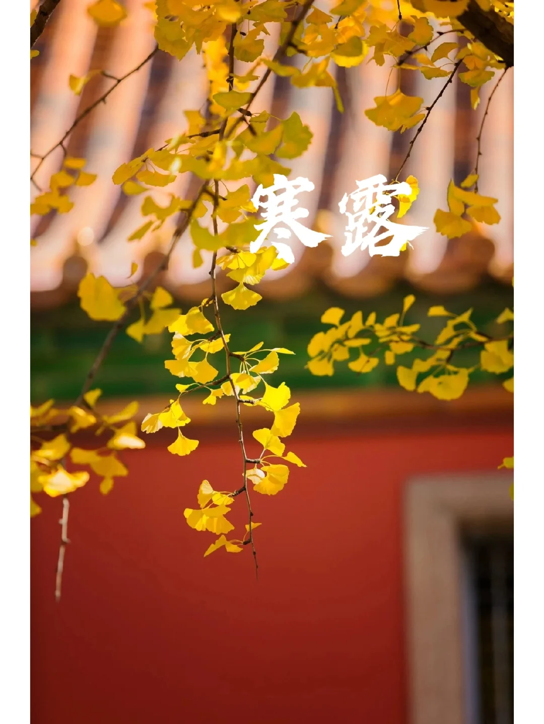 一侯二候三候节气_立秋一侯二候三候节气_二十四节气七十二候