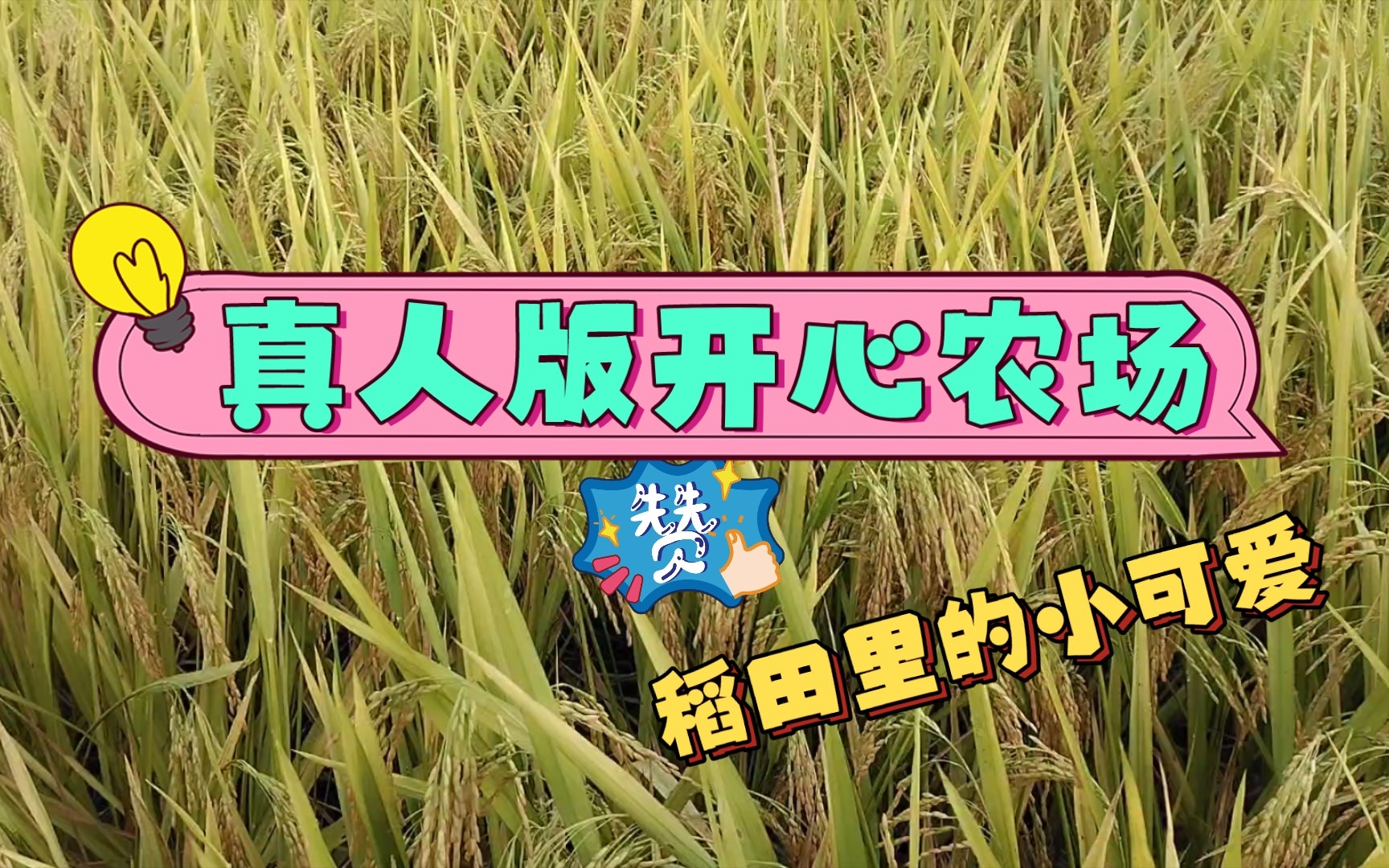 天气转凉的时候_天气转凉从什么时候开始_天气什么时候开始转凉2022