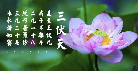 2023三伏天的三伏时间_三伏天时间2023时间表查询_三伏天时间2023年