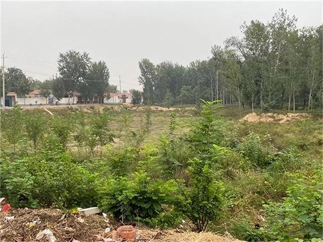 玩游戏突然手机不见了_玩着游戏手机突然重启怎么回事_手机玩着游戏为什么会突然闪退