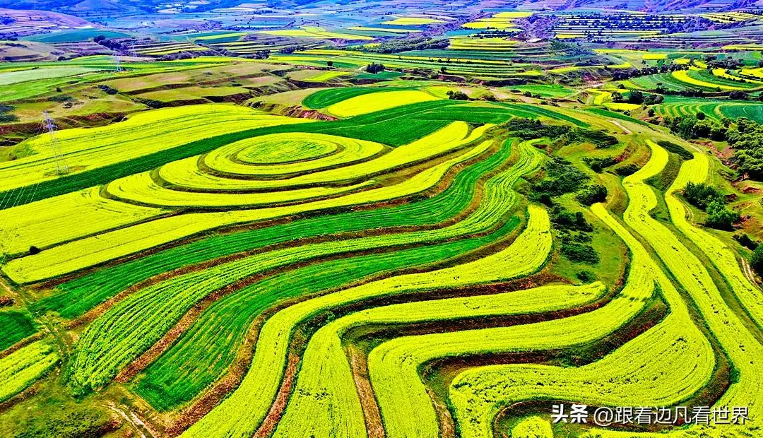 佐治亚_佐亚治大学_佐治尼亚理工大学怎么样
