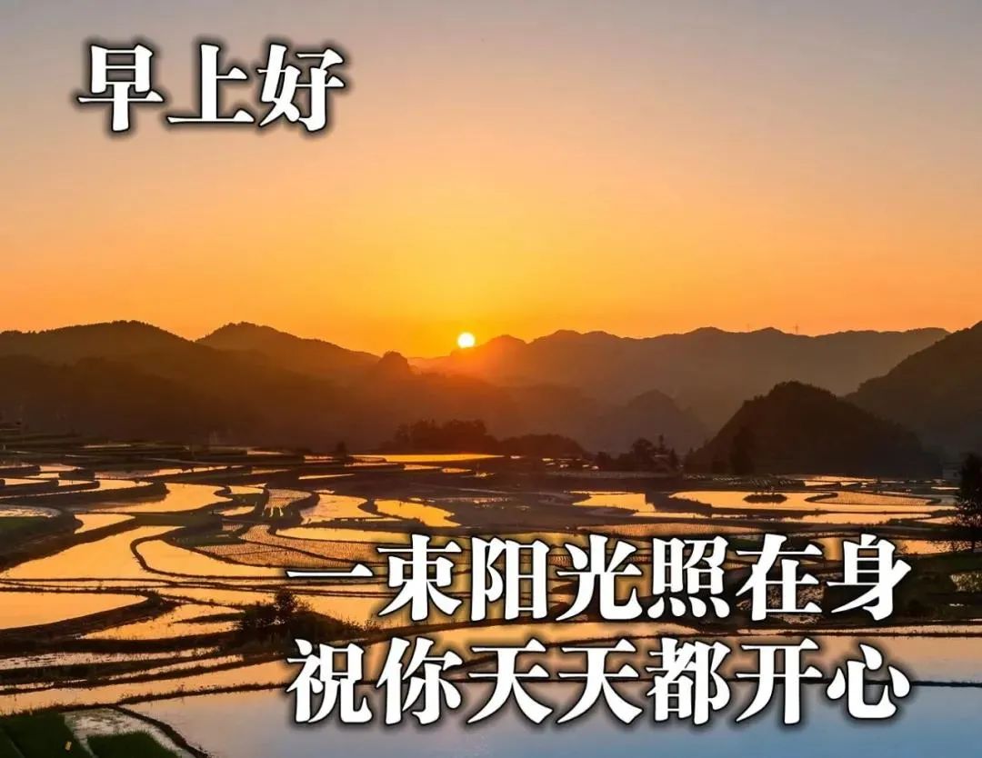 五月五日_五月五日_五月五日