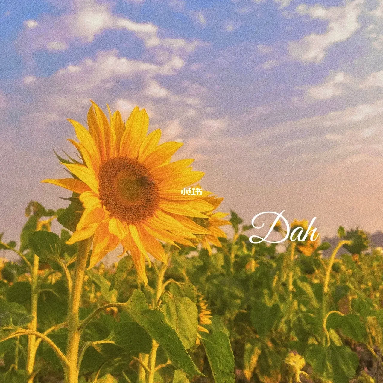 5月6日是什么日子_日子是啥_日和月是