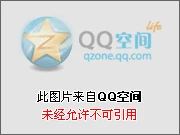 琴叶榕的养殖方法_琴叶_琴叶榕
