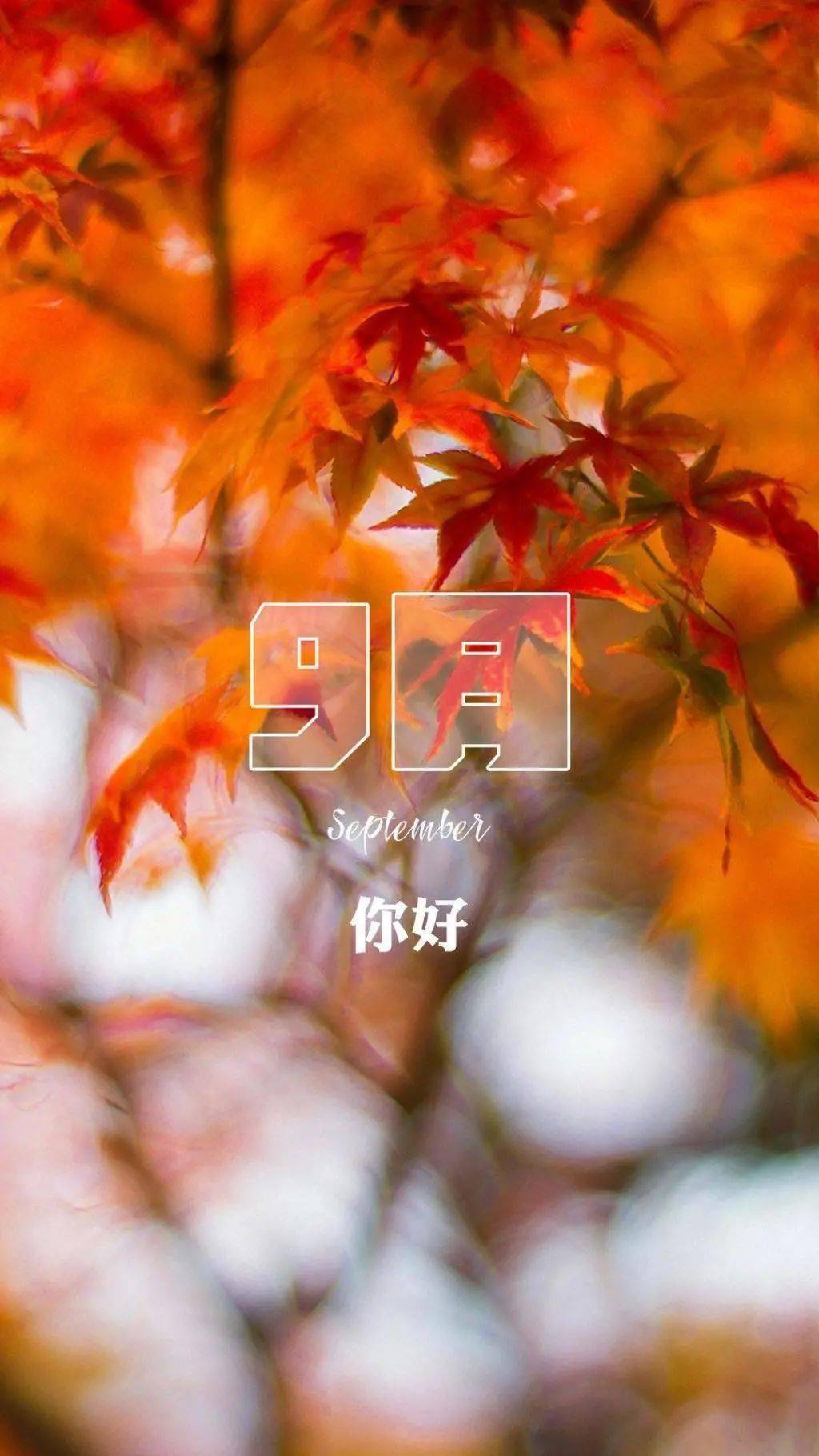 音无来未油管_音无来未_音无来未official