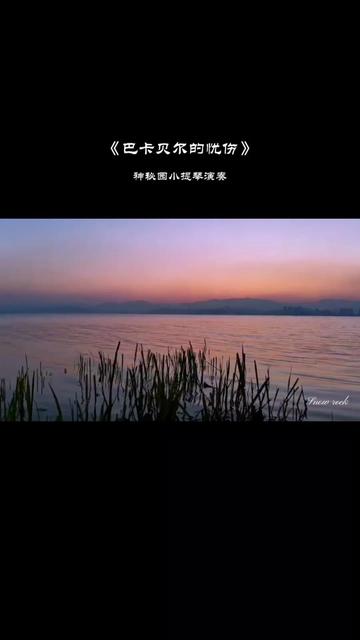 隐者之紫_隐者之紫_隐者之紫