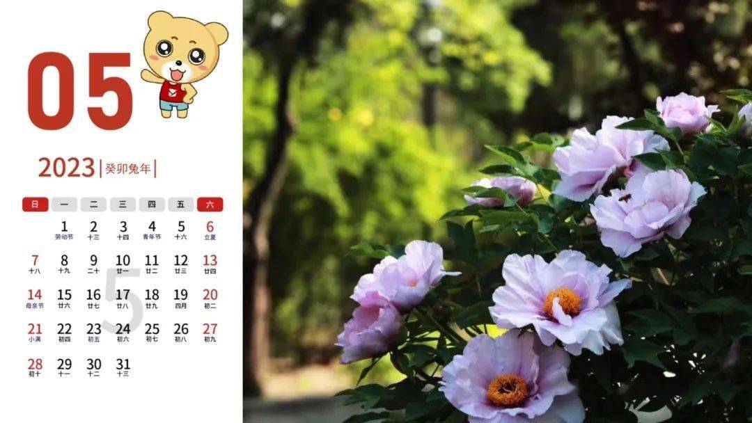 日历2023_日历2023全年农历_日历2023年黄道吉日