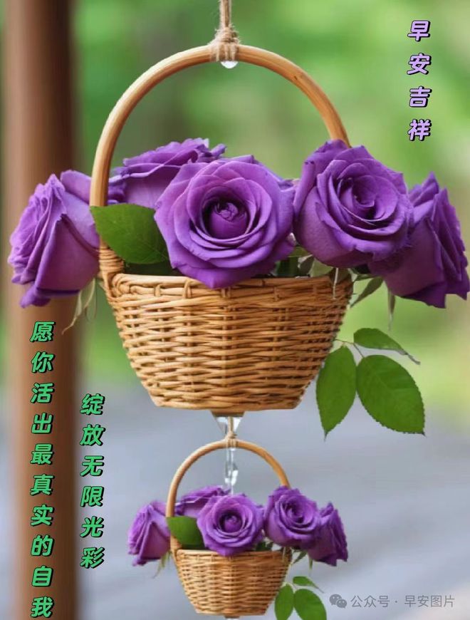 宫泽风花双马尾_宫泽风花_宫泽风花生日