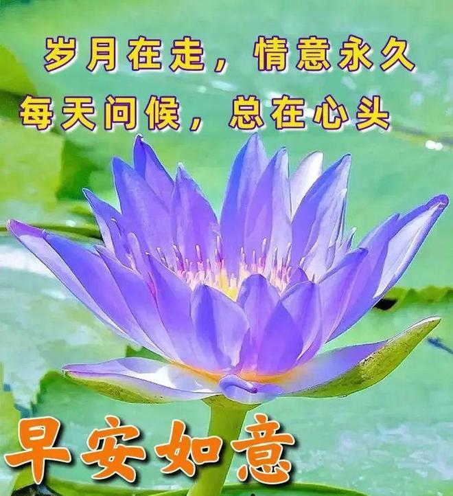 宫泽风花生日_宫泽风花双马尾_宫泽风花