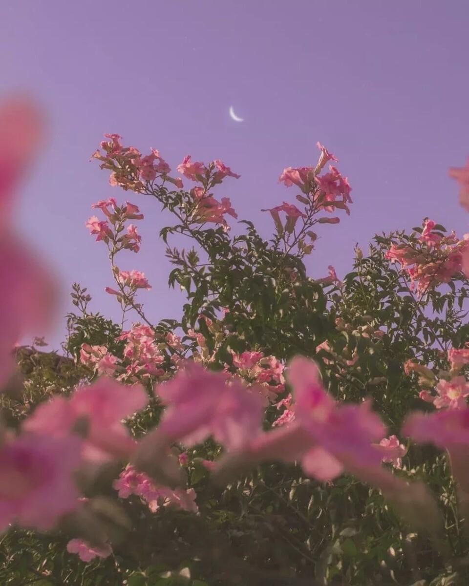 宫泽风花双马尾_宫泽风花_宫泽风花生日